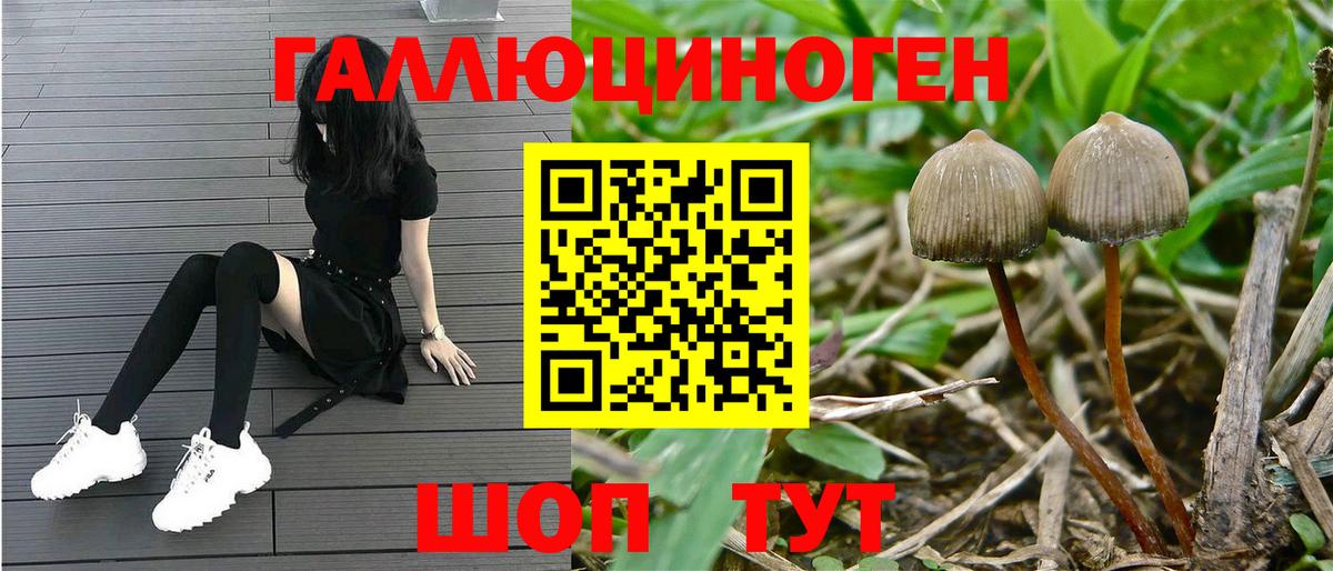 Псилоцибиновые грибы Magic Shrooms  Вход с VPN  Псилоцибиновые грибы Psilocybe  где можно купить наркотик  Дивногорск 