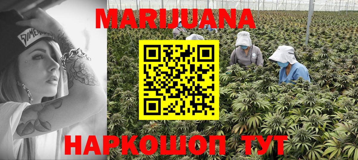 Конопля White Widow Дивногорск